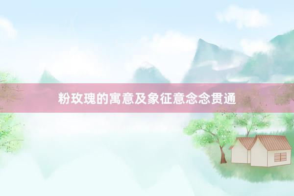 粉玫瑰的寓意及象征意念念贯通
