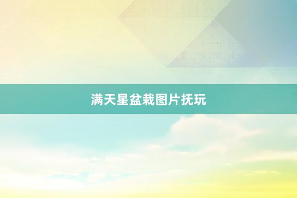满天星盆栽图片抚玩